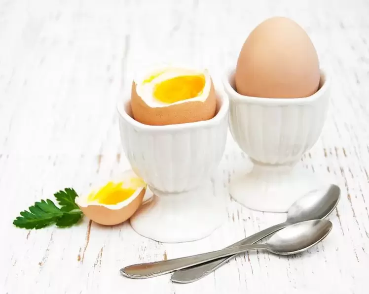 ไข่ลวกสำหรับอาหารไข่